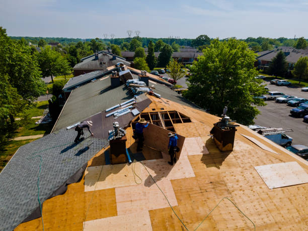 Best Storm Damage Roof Repair  in Oblong, IL