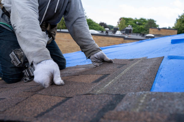 Best Shingle Roofing Installation  in Oblong, IL