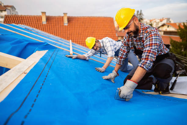 Best New Roof Installation  in Oblong, IL