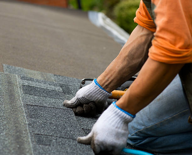 Best Roof Leak Repair  in Oblong, IL