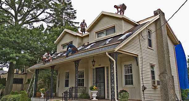 Best Roof Replacement Cost  in Oblong, IL