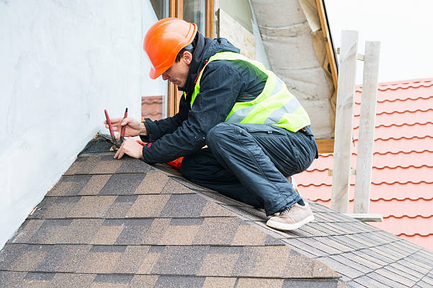 Best Roof Repair Services  in Oblong, IL