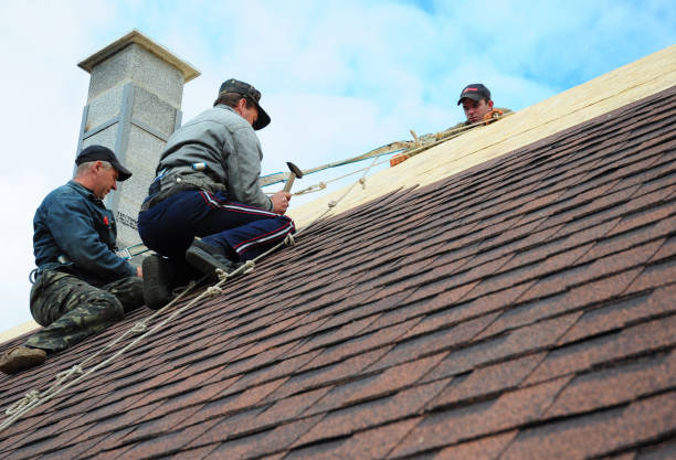 Best Roof Waterproofing Services  in Oblong, IL